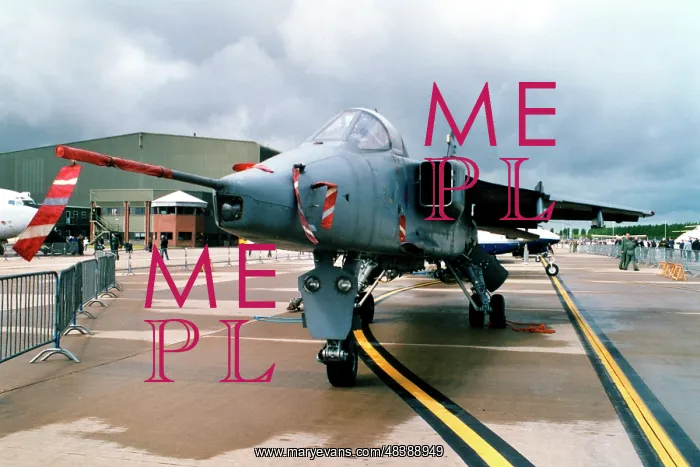 : SEPECAT Jaguar T.2A XX145 : SEPECAT Jaguar T.2A XX145