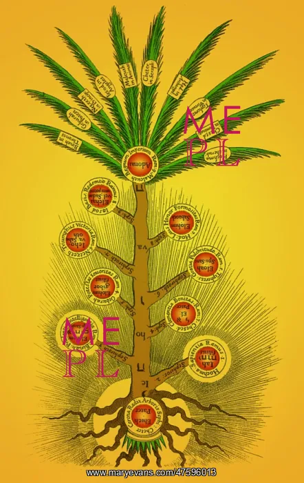 : Sephirothic Tree : Sephirothic Tree