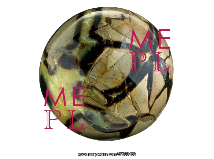 : Septarian nodule : Septarian nodule