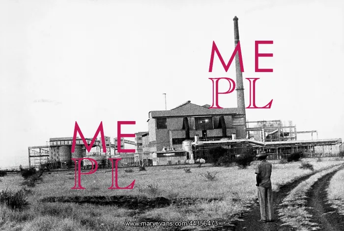 : September 1969 - Out of this barren-looking land comes : September 1969 - Out of this barren-looking land comes