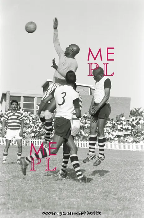 : September 26 1965 - Black Cat Cele makes another : September 26 1965 - Black Cat Cele makes another
