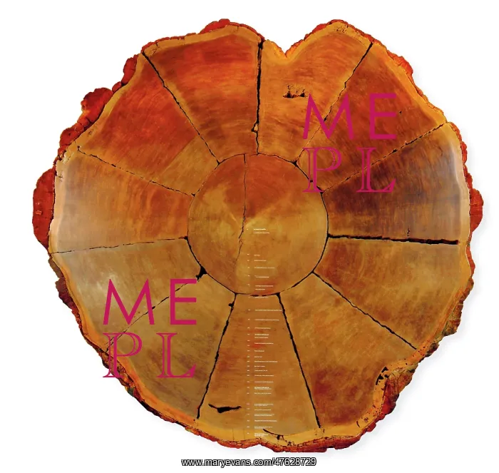 : Sequoiadendron giganteum, giant sequoia : Sequoiadendron giganteum, giant sequoia