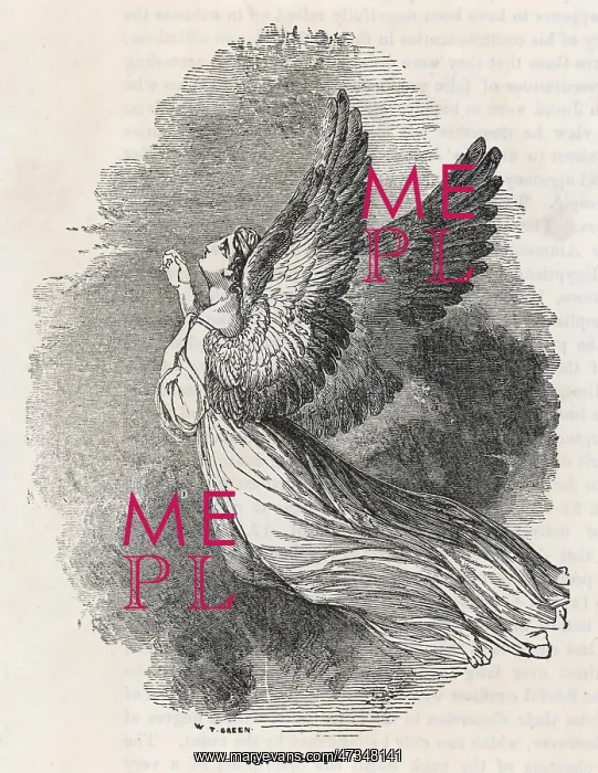  : A SERAPH. A seraph