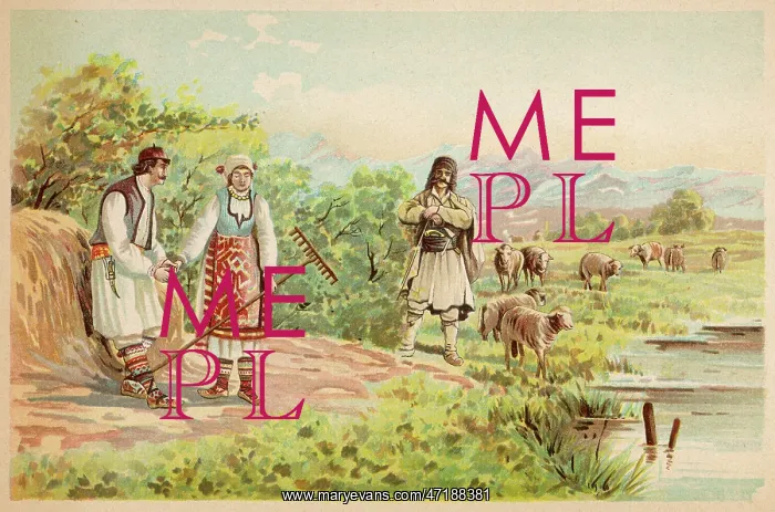  : SERBIAN SHEPHERDS