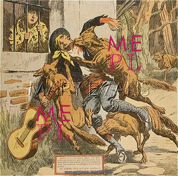 : SERENADER AND WOLVES : SERENADER AND WOLVES