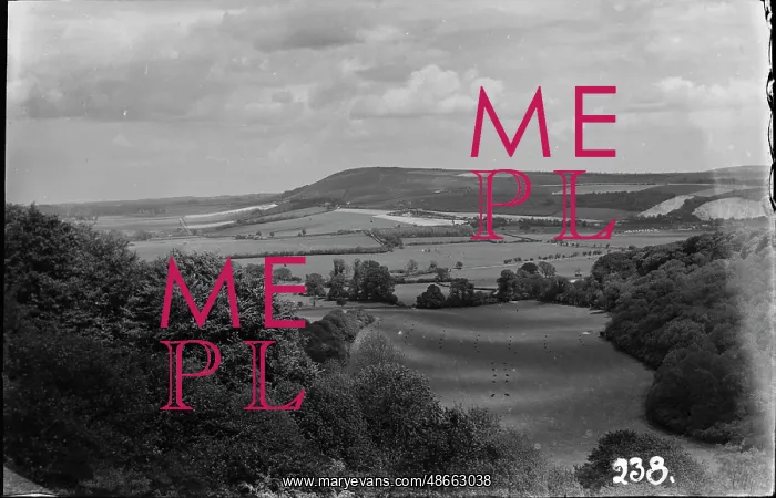 : Serene Countryside Landscape : Serene Countryside Landscape