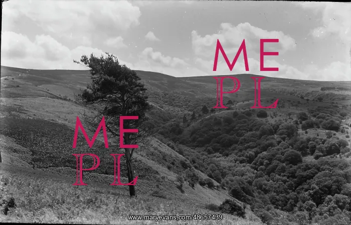 : Serene Hillside View : Serene Hillside View
