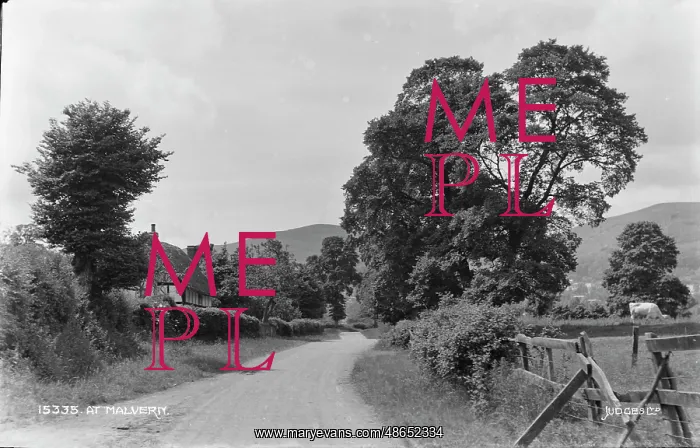 : A Serene Path in Malvern : A Serene Path in Malvern