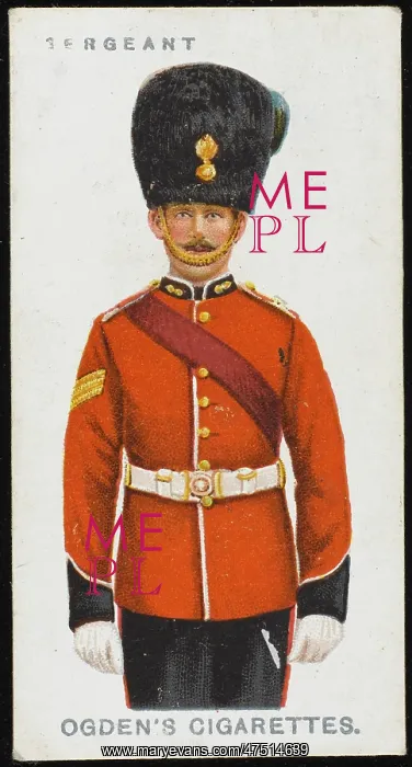  : SERGEANT. A Sergeant from the Royal Dublin Fusiliers, formed in 1748