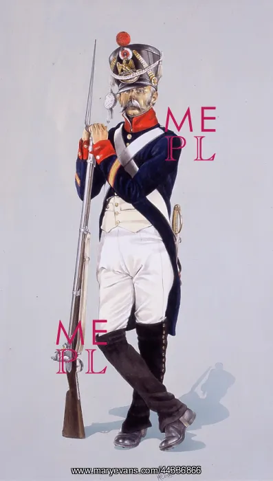 : Sergeant of Fusiliers - 54th Regiment : Sergeant of Fusiliers - 54th Regiment