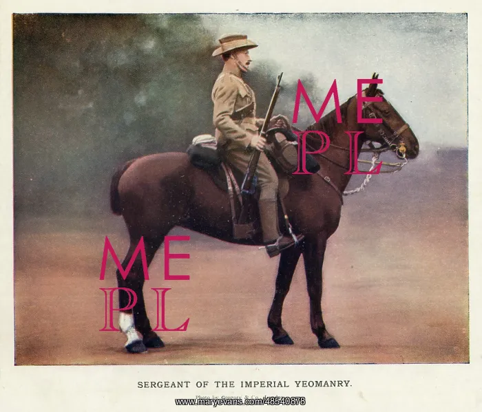  : Sergeant of the Imperial Yeomanry