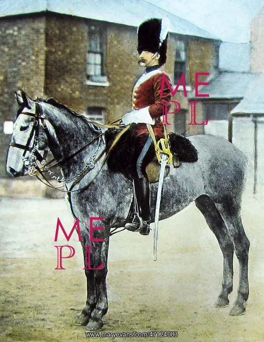  : Sergeant Major in the 2nd Dragoon Guards Victorian period