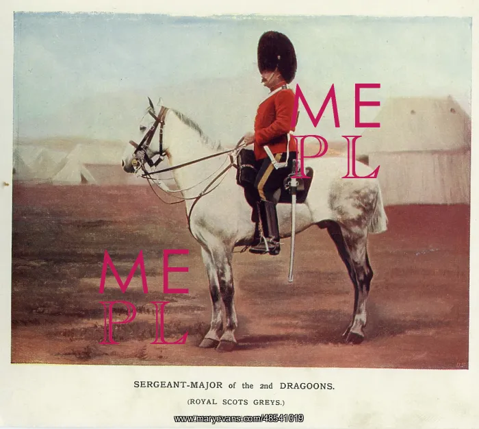  : Sergeant-Major of the 2nd Dragoons, Royal Scots Greys