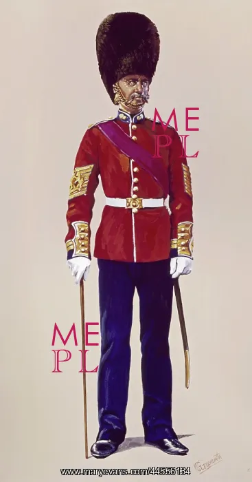 : Sergeant Major - Grenadier Guards : Sergeant Major - Grenadier Guards