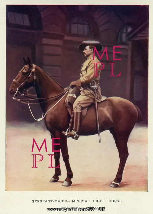 : Sergeant-Major, Imperial Light Horse