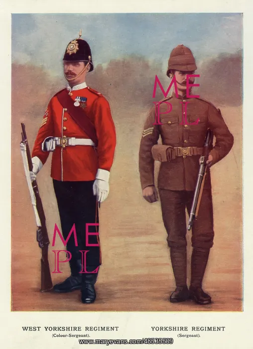  : Sergeants, West Yorkshire Regiment, Yorkshire Regiment