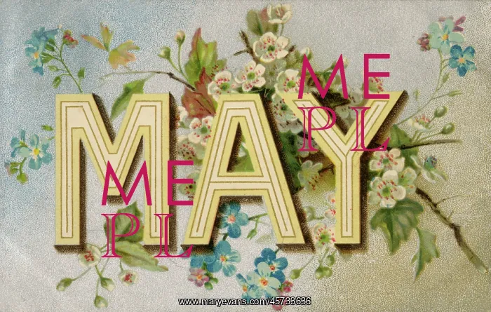  : Name Series - Big Letter Postcard MAY