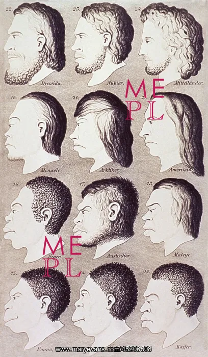 : A series of human heads from difference ? : A series of human heads from difference ?
