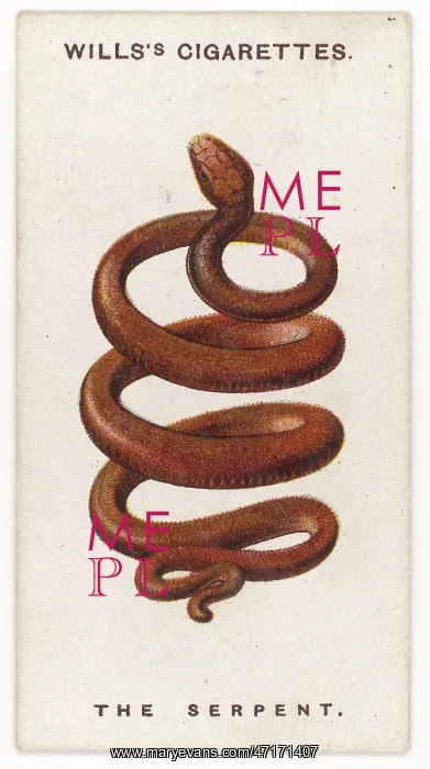: SERPENT TALISMAN : SERPENT TALISMAN