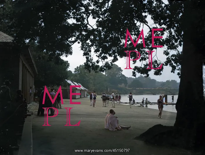 : THE SERPENTINE LIDO : THE SERPENTINE LIDO