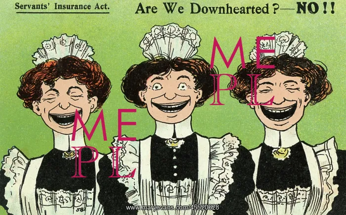 : The Servants Insurance Act : The Servants Insurance Act