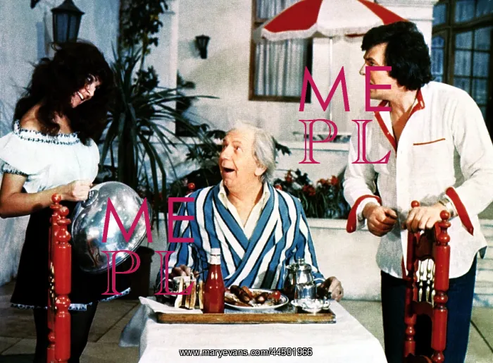: Are You Being Served? (1977) : Are You Being Served? (1977)