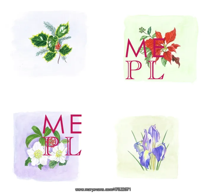: Set of four Christmas Plant gift tags : Set of four Christmas Plant gift tags
