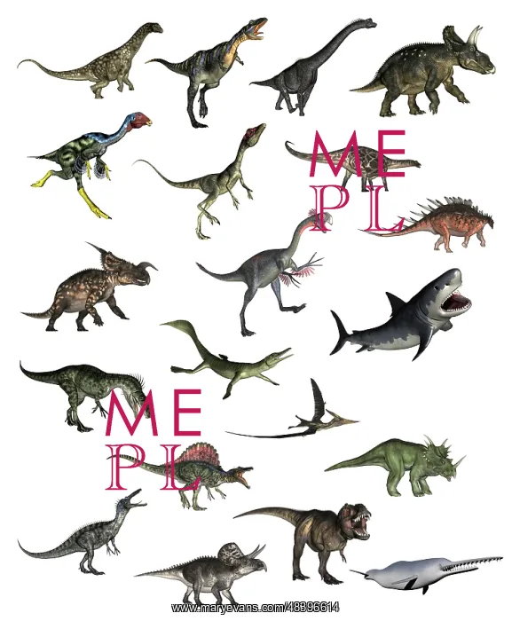 : Set of dinosaurs : Set of dinosaurs
