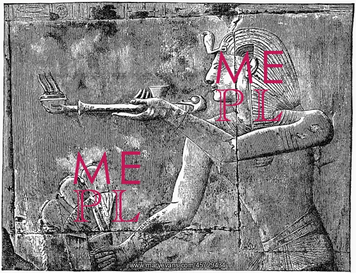 : Seti I - Pharaoh - Egypt - man : Seti I - Pharaoh - Egypt - man