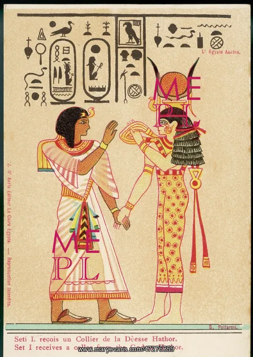 : SETI RECEIVES A COLLAR : SETI RECEIVES A COLLAR