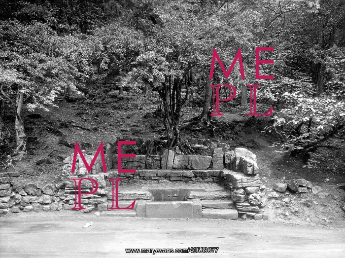  : Settle, the Ebbing and Flowing Well 1921