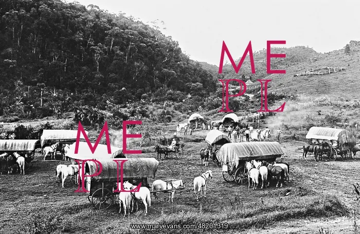 : Settlement in a rain forest in Brazil, 1928 : Settlement in a rain forest in Brazil, 1928