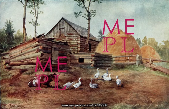  : SETTLER'S HOMESTEAD
