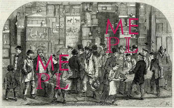 : Seven Dials, bird market 1861 : Seven Dials, bird market 1861