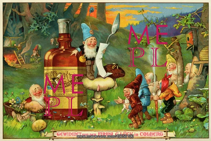 : The Seven Dwarfs : The Seven Dwarfs