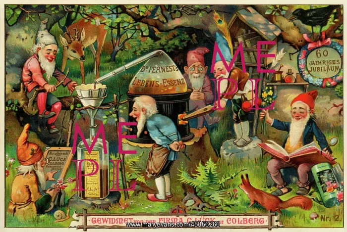 : The Seven Dwarfs : The Seven Dwarfs