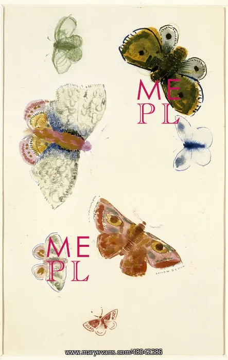 : Seven studies of butterflies : Seven studies of butterflies