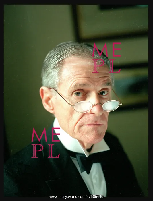 : SEVERE EDWARDIAN BUTLER : SEVERE EDWARDIAN BUTLER