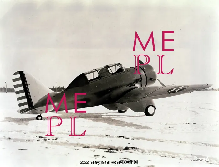  : Seversky BT-8