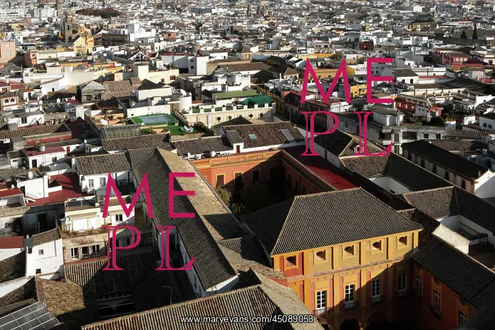 : Seville. General view of the old city from Giralda Minaret : Seville. General view of the old city from Giralda Minaret