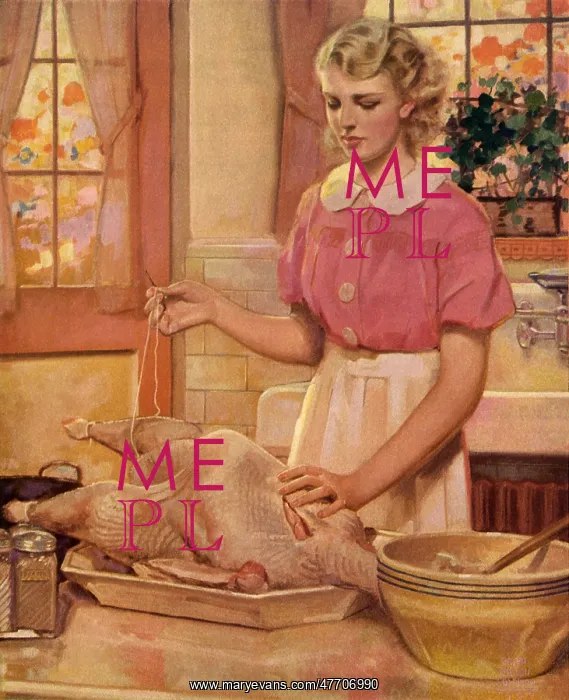  : Sewing the Turkey