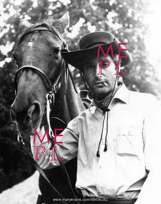  : SEXY COWBOY