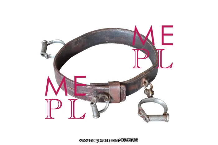  : Shackles