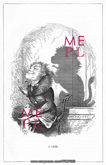 : Shadow drawing. C.H. Bennett, A Lion : Shadow drawing. C.H. Bennett, A Lion