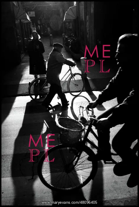  : Shadows and cyclists, Pisa, Italy