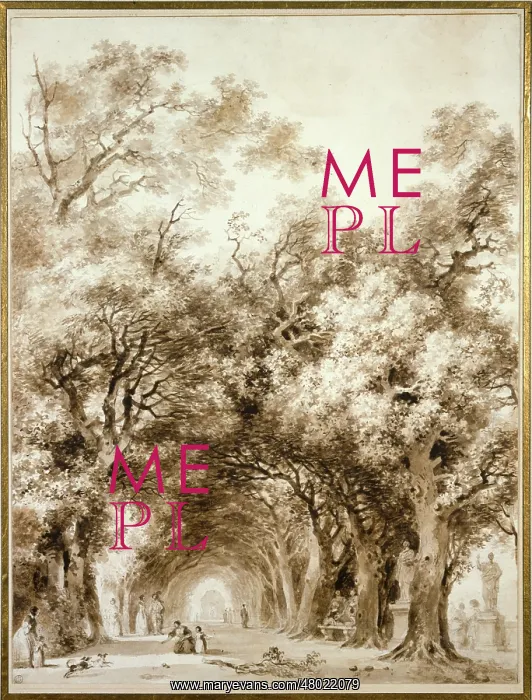 : The Shady Path : The Shady Path
