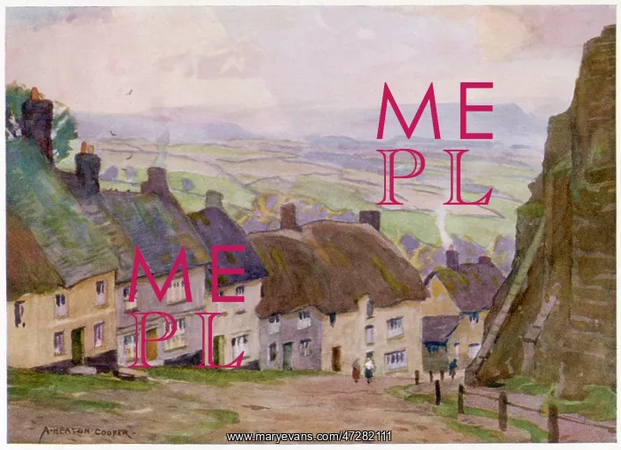  : SHAFTESBURY / GOLD HILL