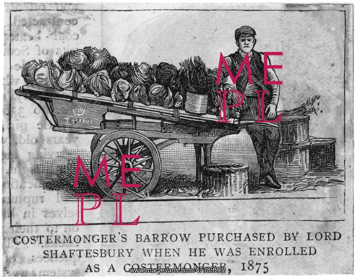 : Shaftesbury's barrow : Shaftesbury's barrow