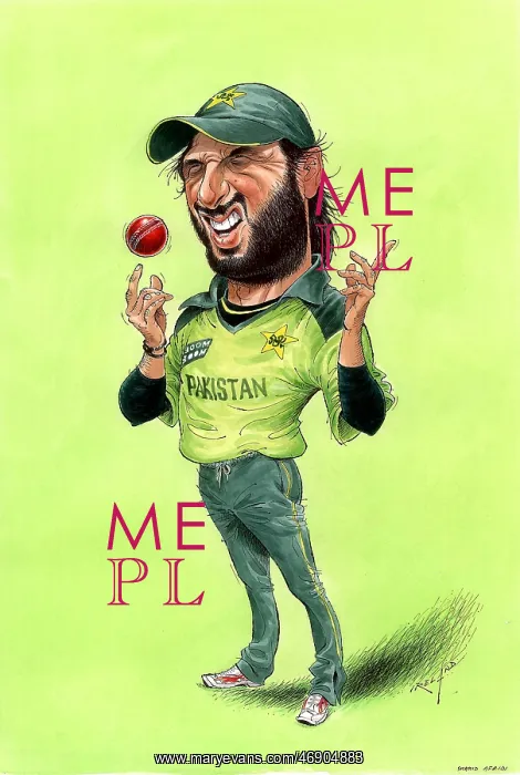  : Shahid Afridi - Pakistan cricketer