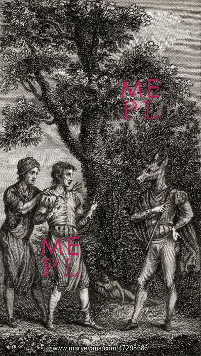 : SHAKESPEARE / BOTTOM : SHAKESPEARE / BOTTOM
